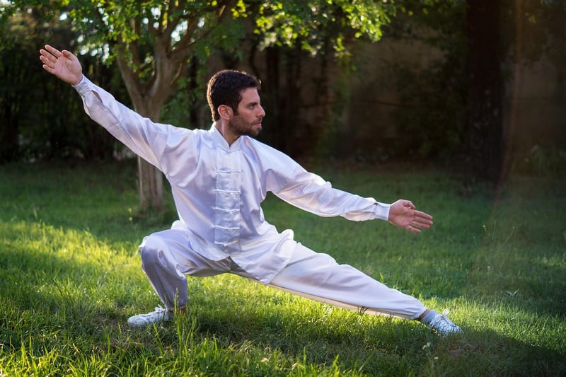Sun Style Tai Chi Balance